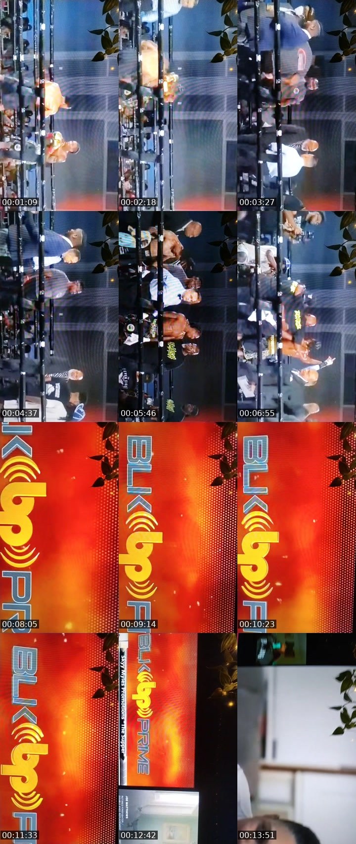 Contact-sheet preview of Belle's BuzzCast recording