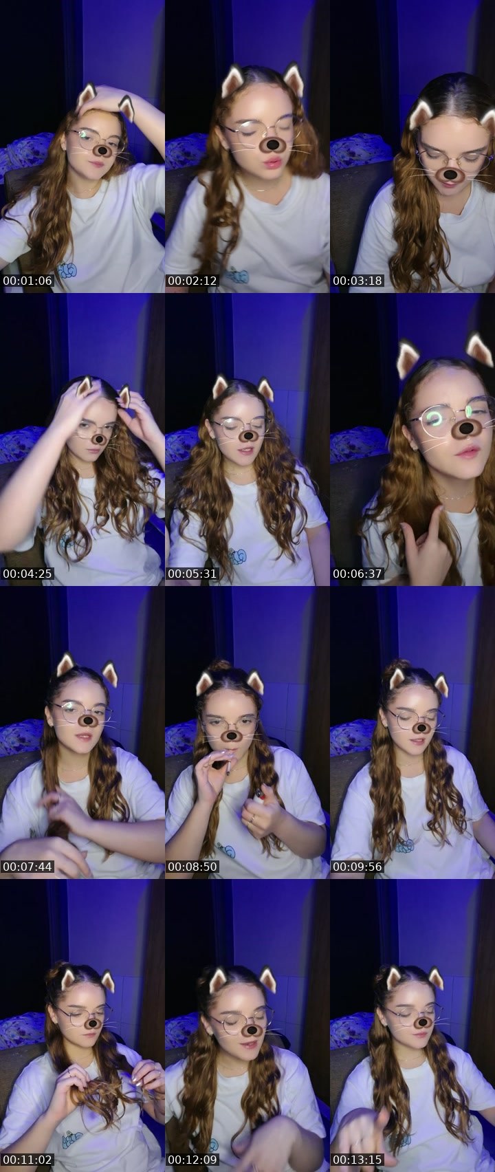 Contact-sheet preview of 🧸Kitsune🧸's BuzzCast recording