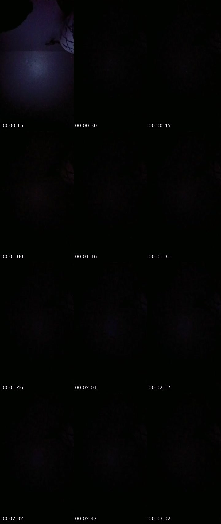Contact-sheet preview of Amber288's BuzzCast recording
