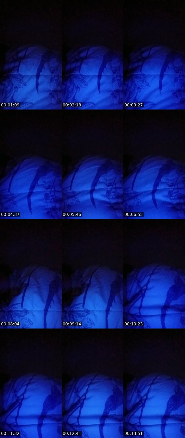 Contact-sheet preview of Amber288's BuzzCast recording