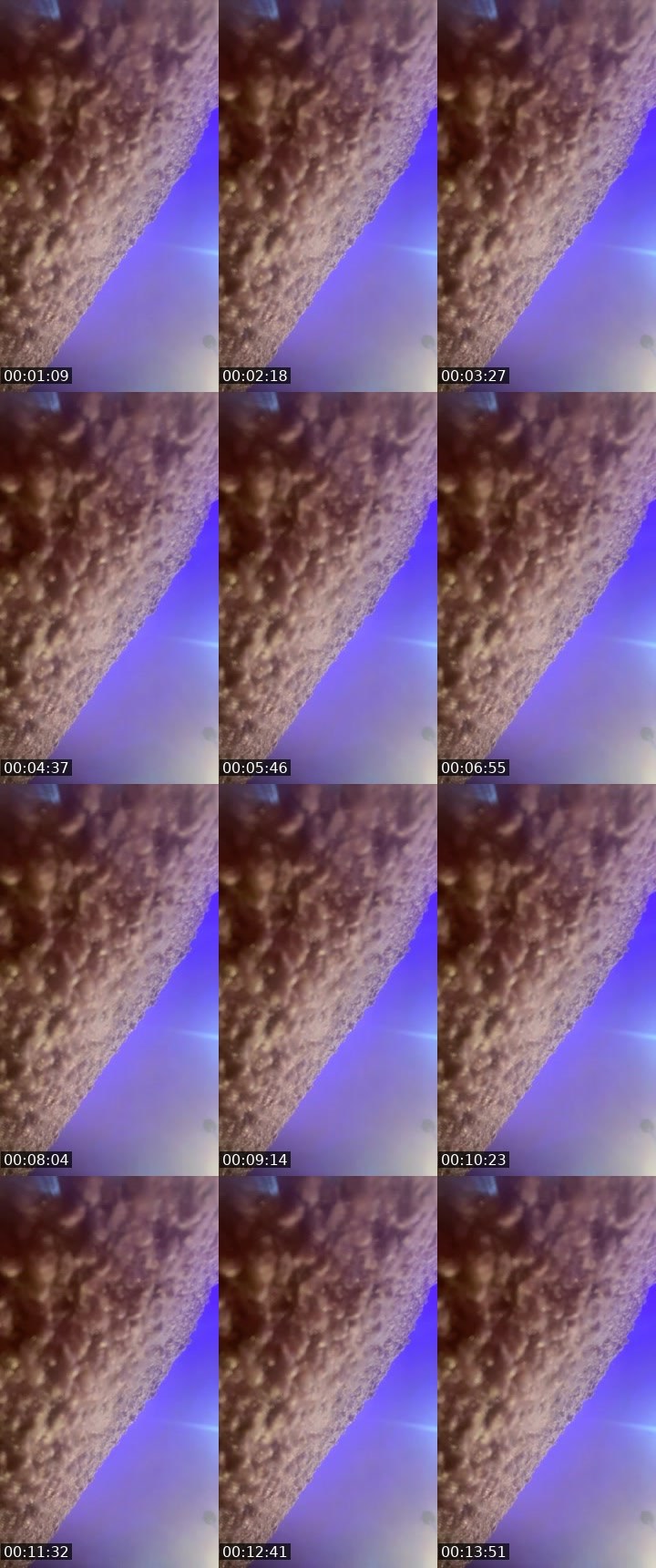 Contact-sheet preview of 400kPleasantFox🦊's BuzzCast recording