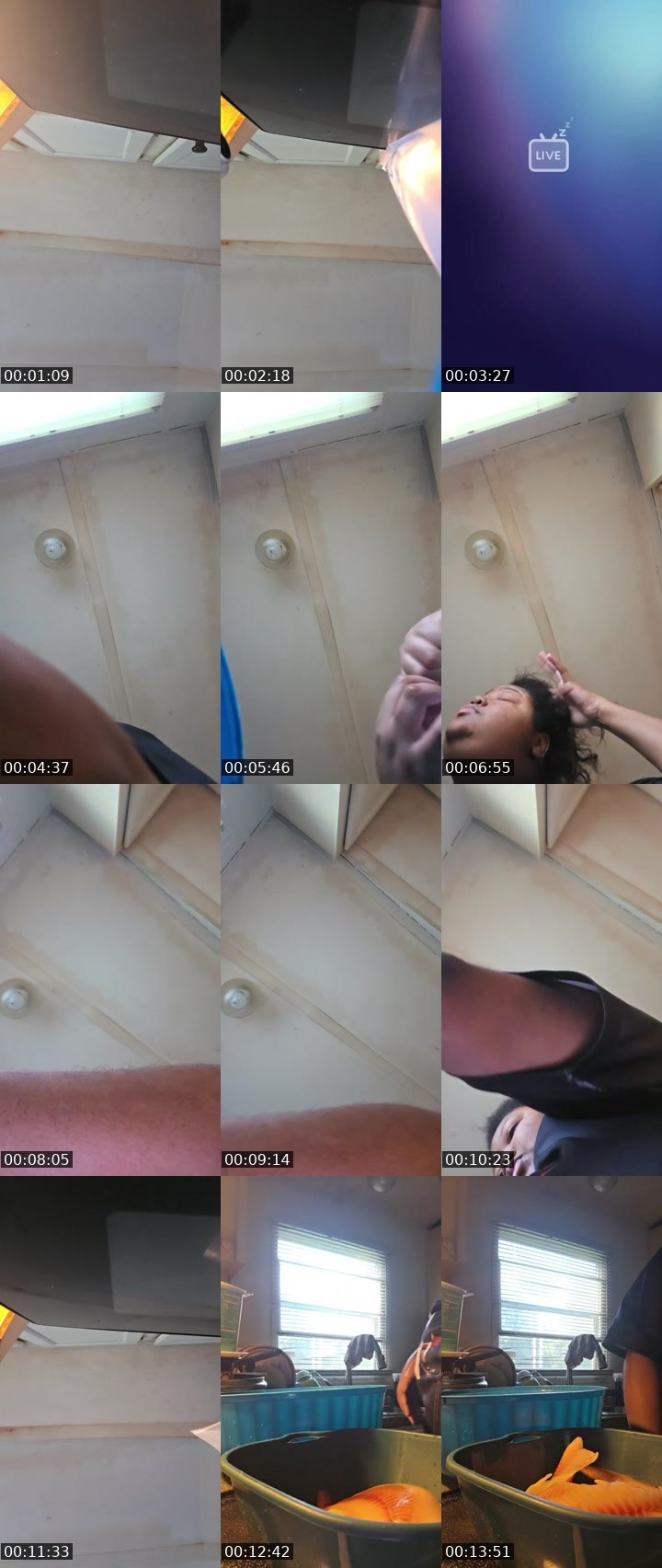 Contact-sheet preview of Danasha young 23's BuzzCast recording