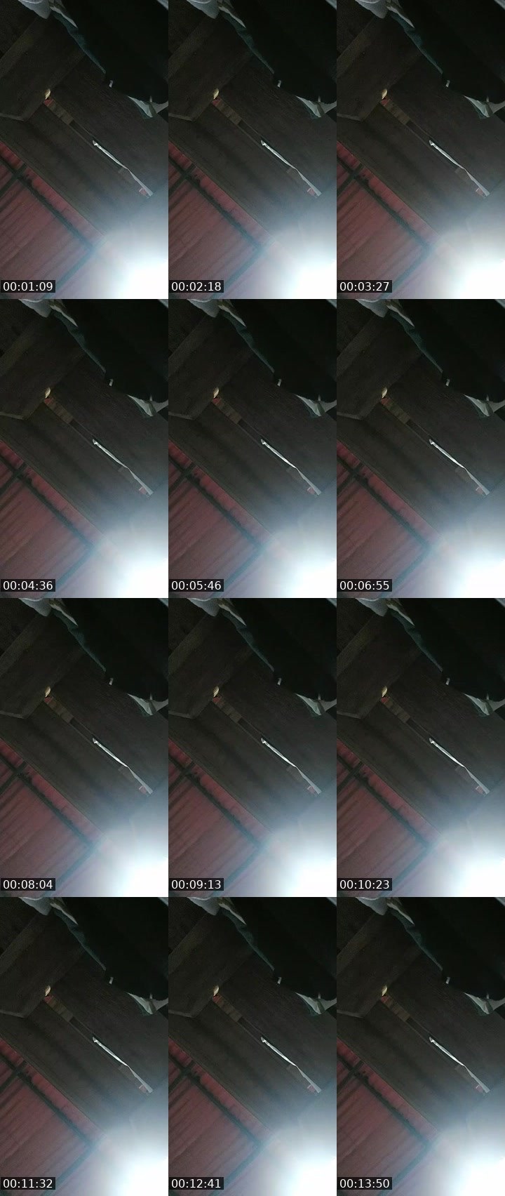 Contact-sheet preview of 𝓓🅖☁ᴰᵉˢᶜᵒʳᵃᶻᵒⁿᵃᵈᵃ's BuzzCast recording
