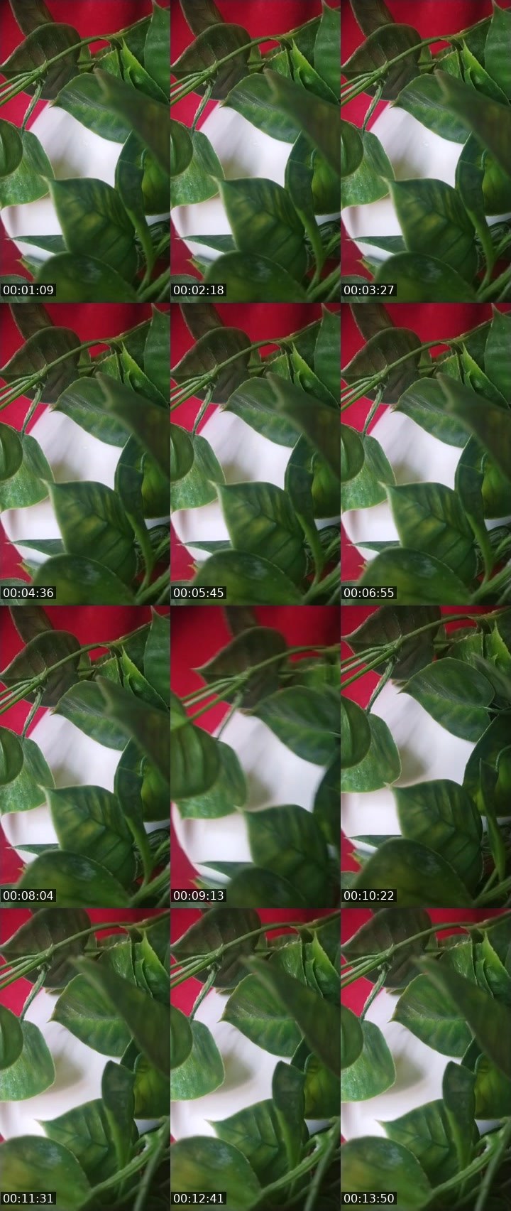 Contact-sheet preview of Belle's BuzzCast recording