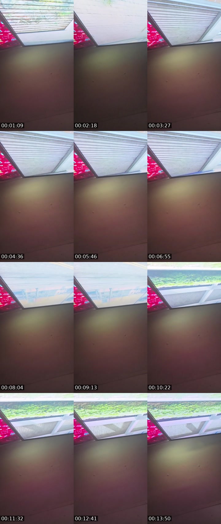 Contact-sheet preview of Danasha young 23's BuzzCast recording