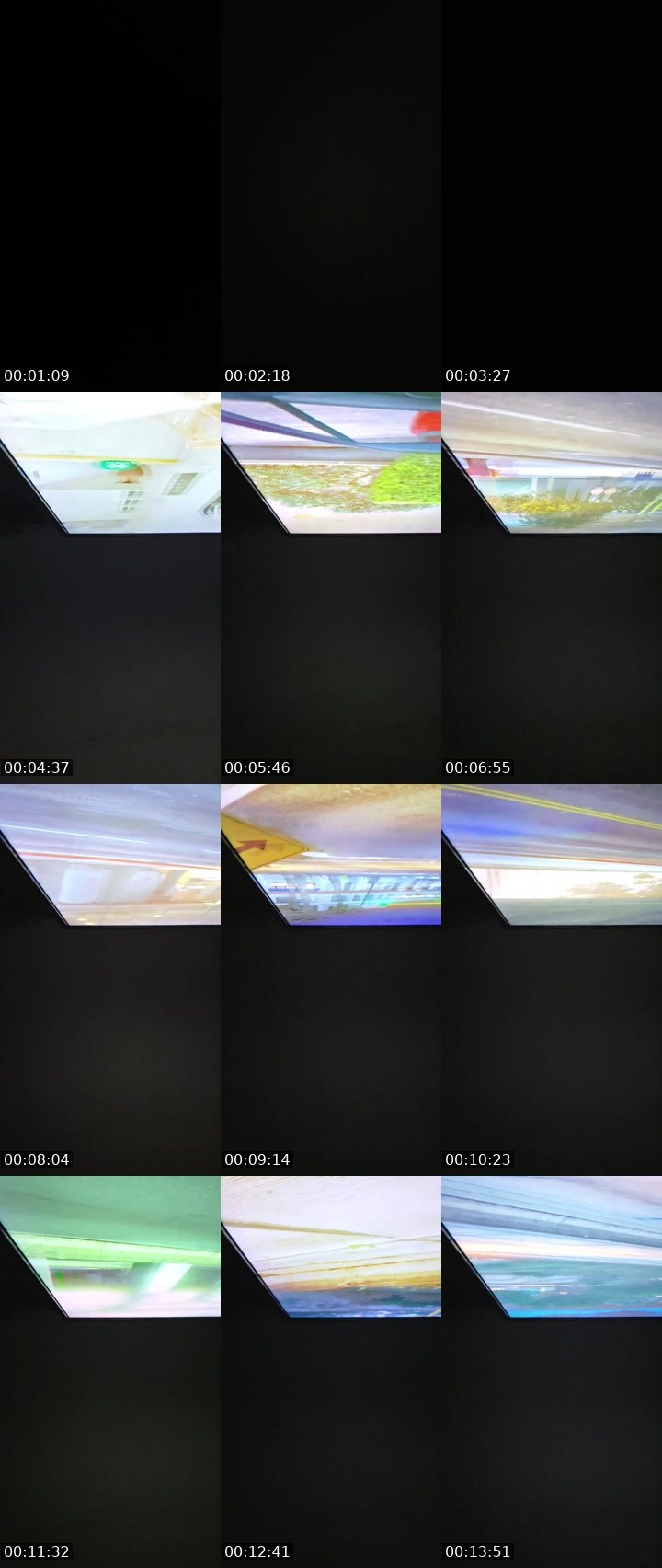 Contact-sheet preview of Danasha young 23's BuzzCast recording