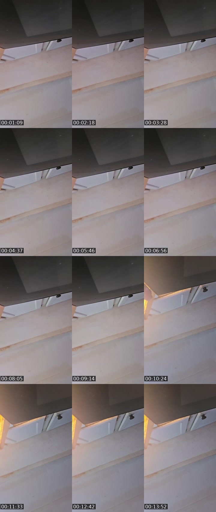 Contact-sheet preview of Danasha young 23's BuzzCast recording