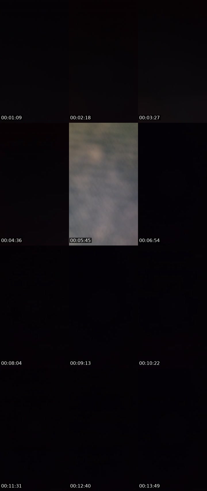 Contact-sheet preview of 🐍LaZzZy_G_214🐍's BuzzCast recording