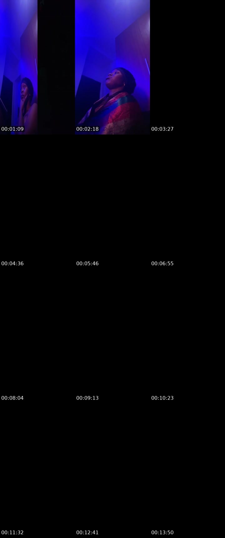 Contact-sheet preview of PleasantFox🦊's BuzzCast recording