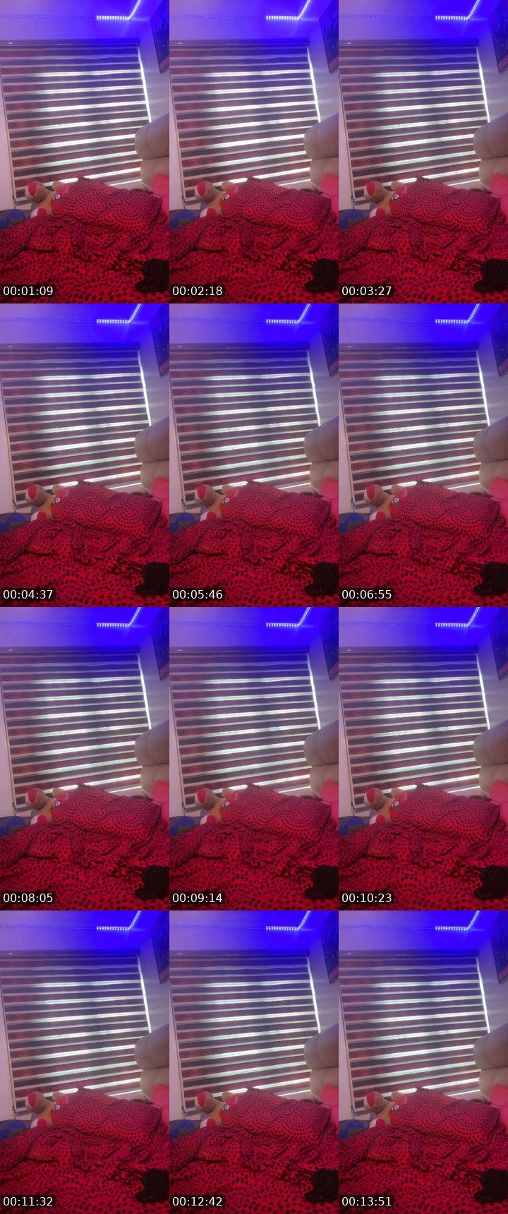 Contact-sheet preview of PleasantFox🦊's BuzzCast recording
